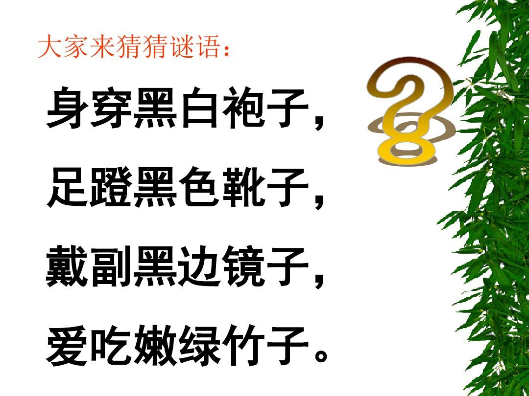 天才小熊猫游戏段子_天才小熊猫读心游戏_天才小熊猫游戏长图合集