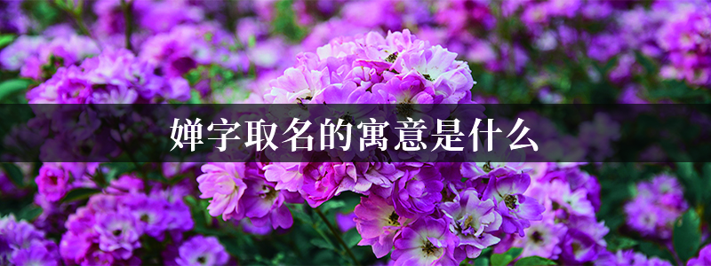 天龙八部女天龙名字_天龙八部3游戏女号名字_八部天龙对应天空八部