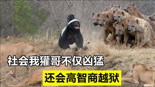陈志强最强大脑资料_最强大脑水哥个人资料_最强大脑王昱珩辨水