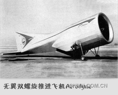 全民飞机大战黑龙公主和喵萌萌_全民飞机黑龙公主全身图_全民飞机大战黑龙公主图片
