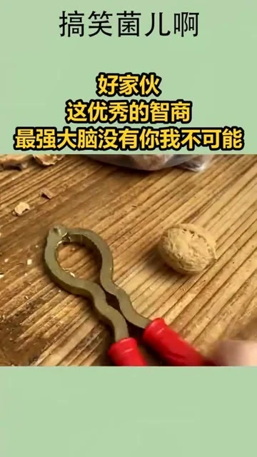 最强大脑水哥个人资料_最强大脑第二季水哥视频_最强大脑第一季水哥