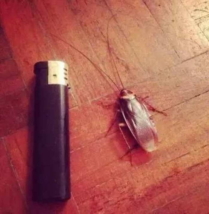 真心话大冒险游戏问题_真心话冒险里面有哪些问题_冒险真心话怎么玩