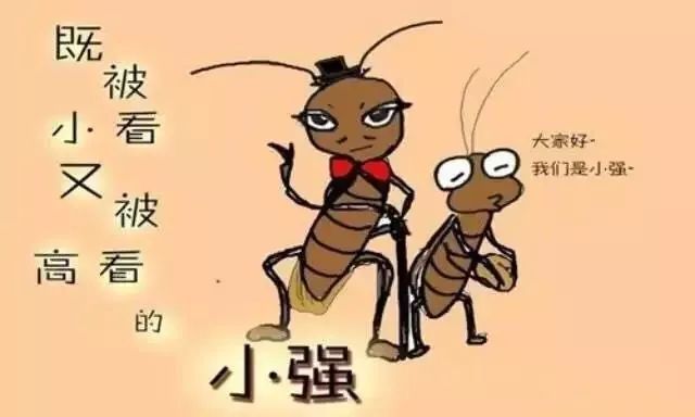 冒险真心话怎么玩_真心话冒险里面有哪些问题_真心话大冒险游戏问题