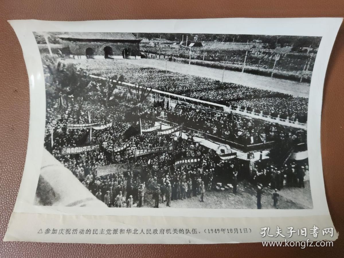 明日方舟资深干员tag搭配_明日方舟资深干员词条一览_明日方舟中资深干员