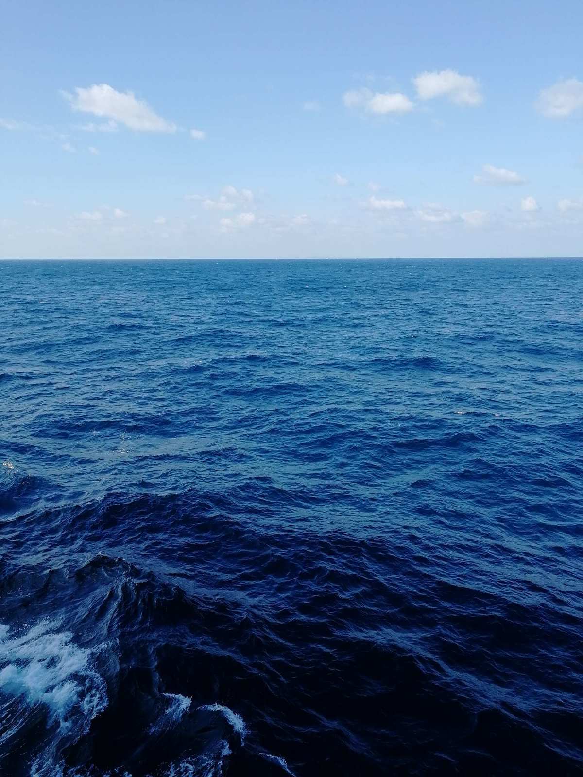 海底总动员主题曲_动员背景音乐_海底总动员