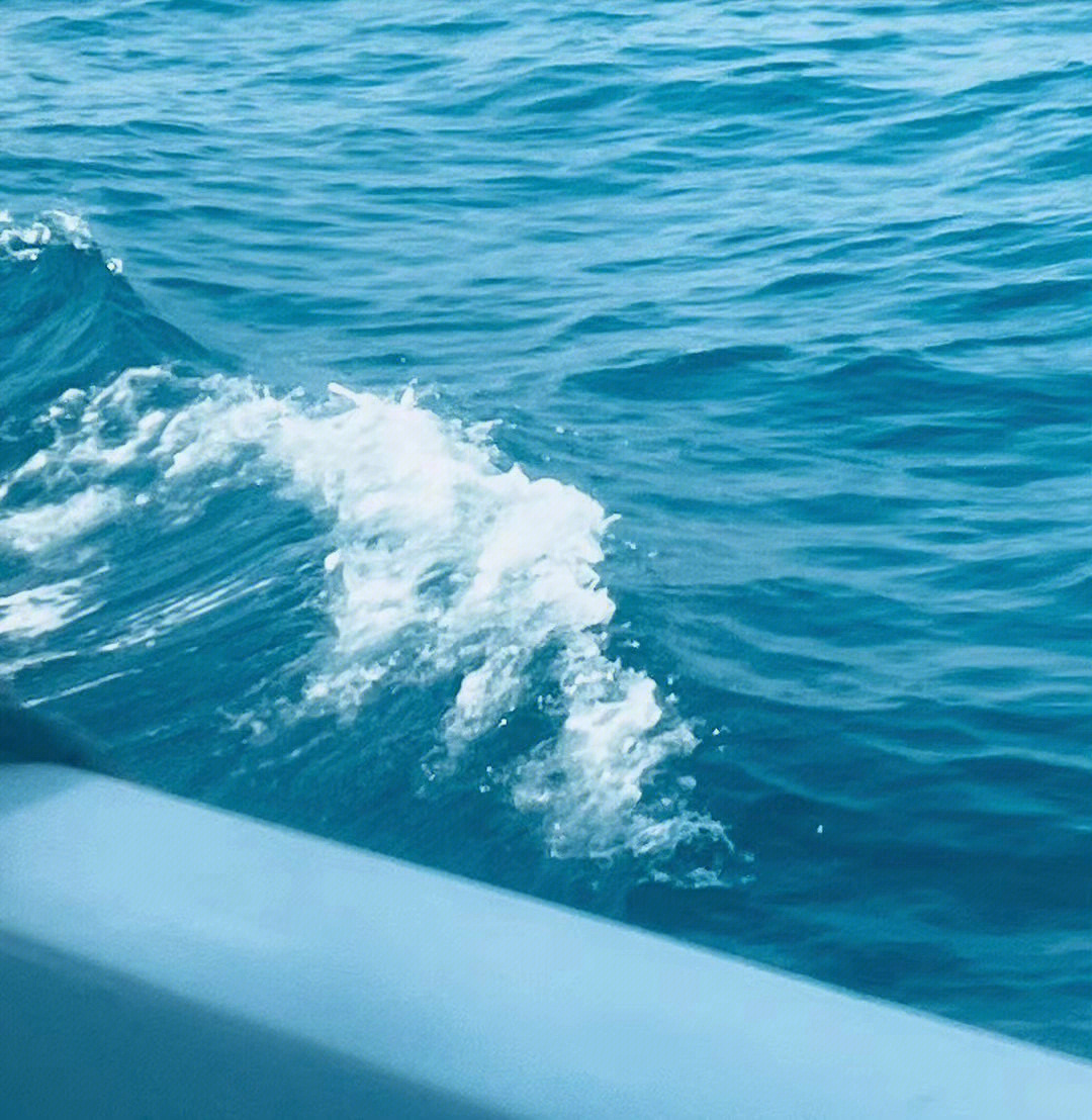 海底总动员主题曲_海底总动员_动员背景音乐