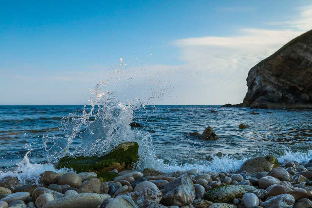 动员背景音乐_海底总动员_海底总动员主题曲