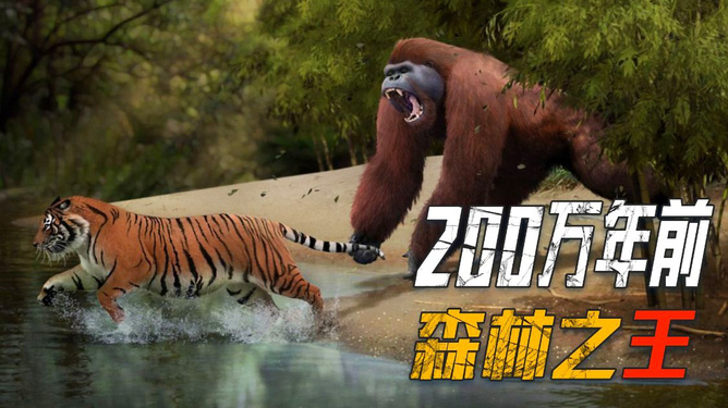 金刚狼人气_金刚狼狼人游戏怎么玩_狼人游戏金刚狼