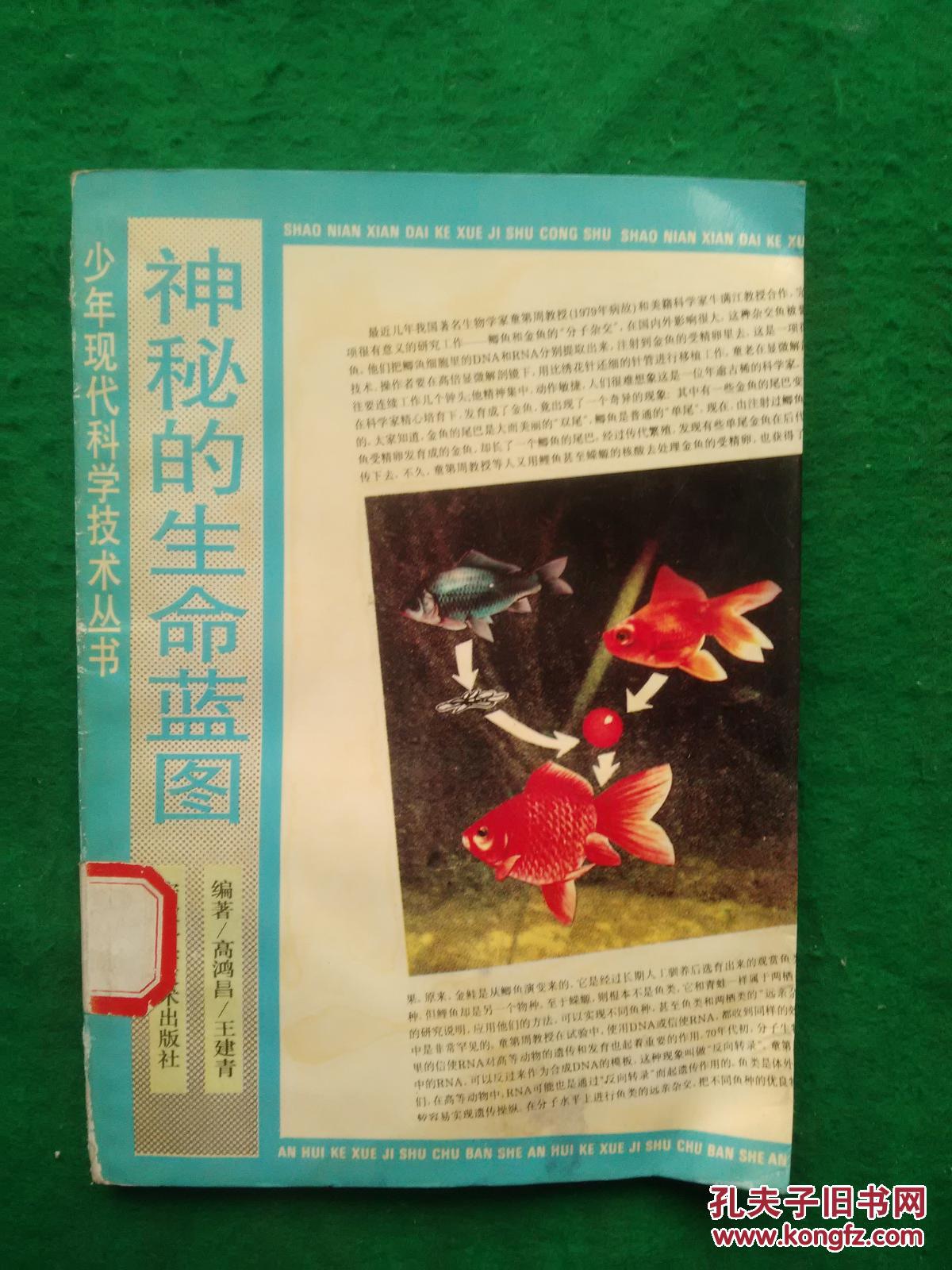 神之谜题第1季_神之谜题第三季_神之谜题