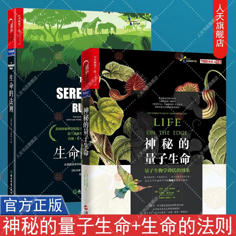 神之谜题_神之谜题第1季_神之谜题第三季