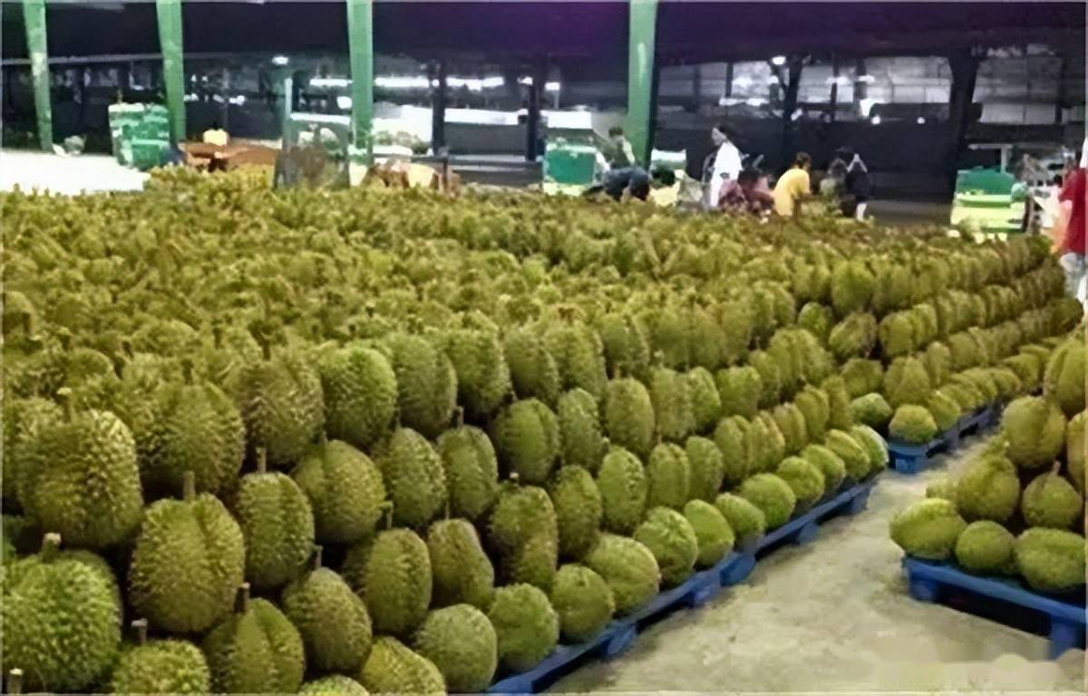 榴莲下载app苹果_开元榴莲下载_榴莲下载