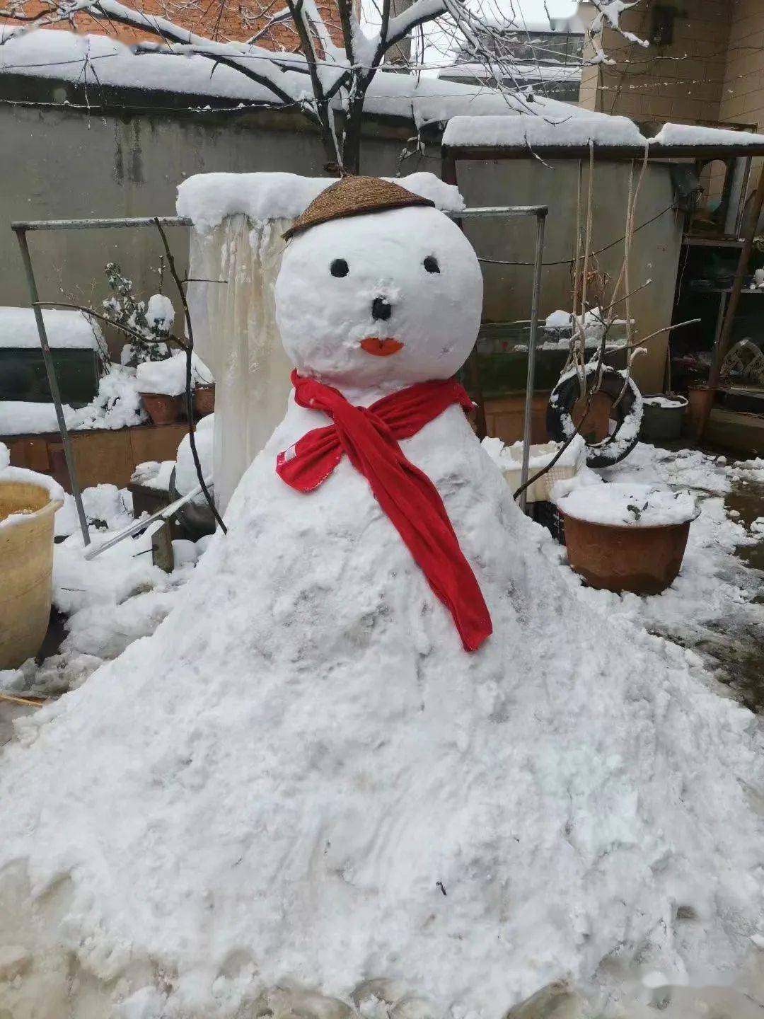 魔雪_雪魔天猿_杀雪魔