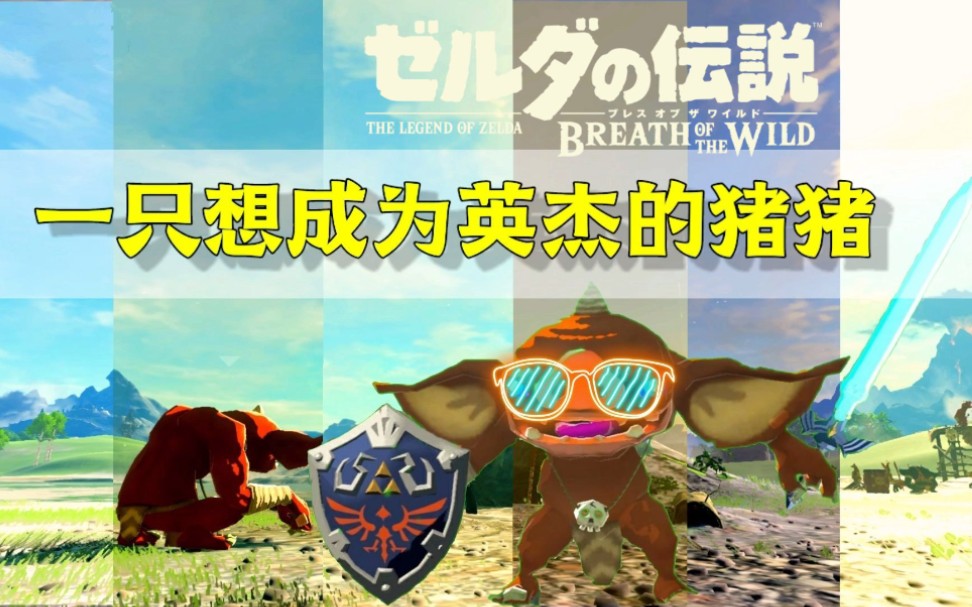 波克布林内脏配方_波克布林_波克布林种类