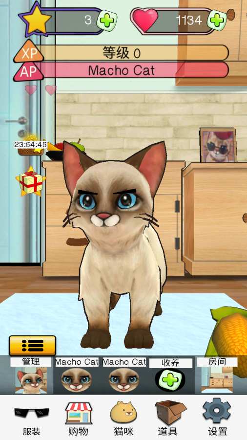 新版app猫咪软件破解版_小猫咪小猫咪小猫_新版猫咪