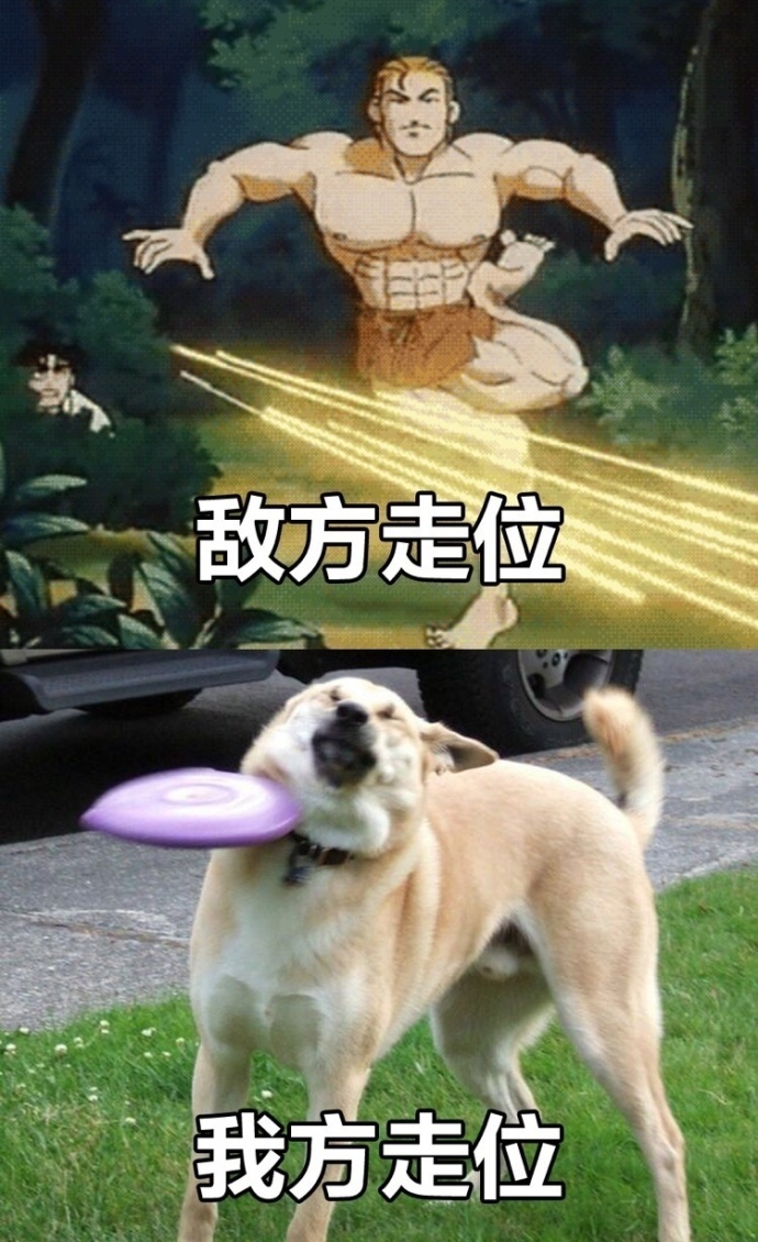 蛇皮走位视频_走位蛇皮是什么意思_蛇皮走位