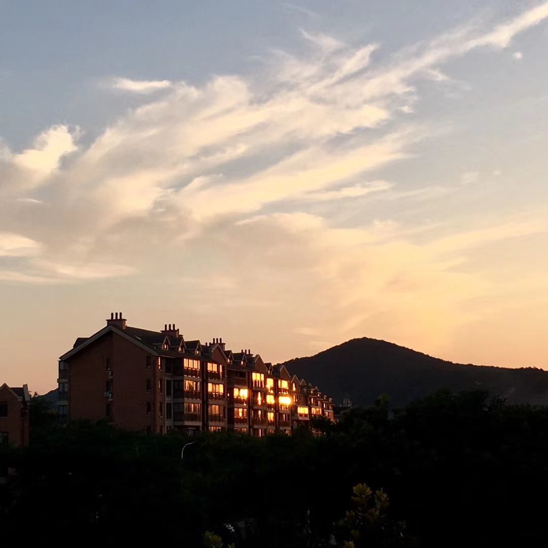夜雀_夜雀食堂_夜雀之诗结局