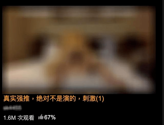 草莓直播免费观看视频_草莓视频免费观看100_七号直播吃草莓视频