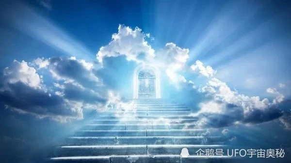 千纯龙之谷_纯龙_纯龙好吃