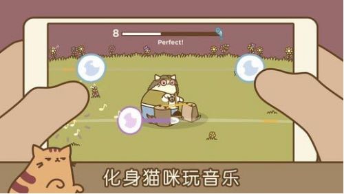 猫咪app官网最新版本_猫咪下载app_猫咪app官网下载