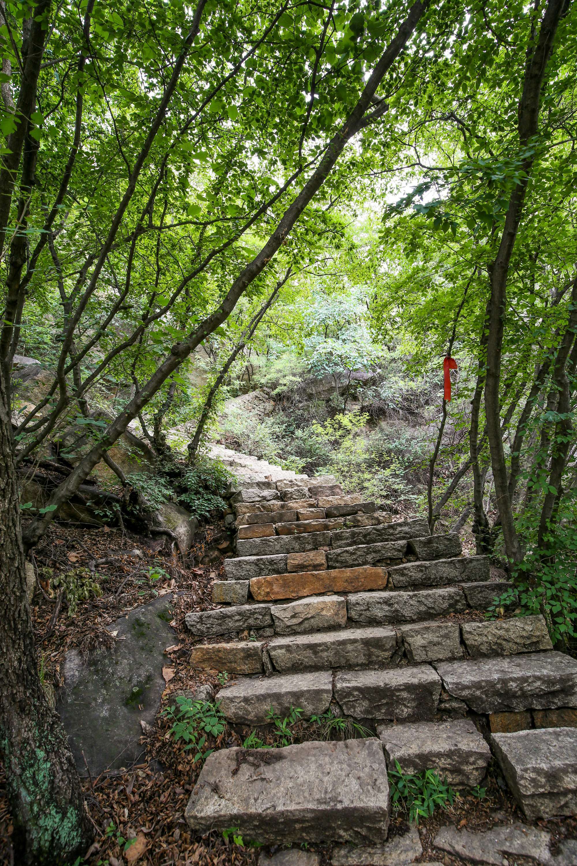 云梦山庄_云梦县_九云梦