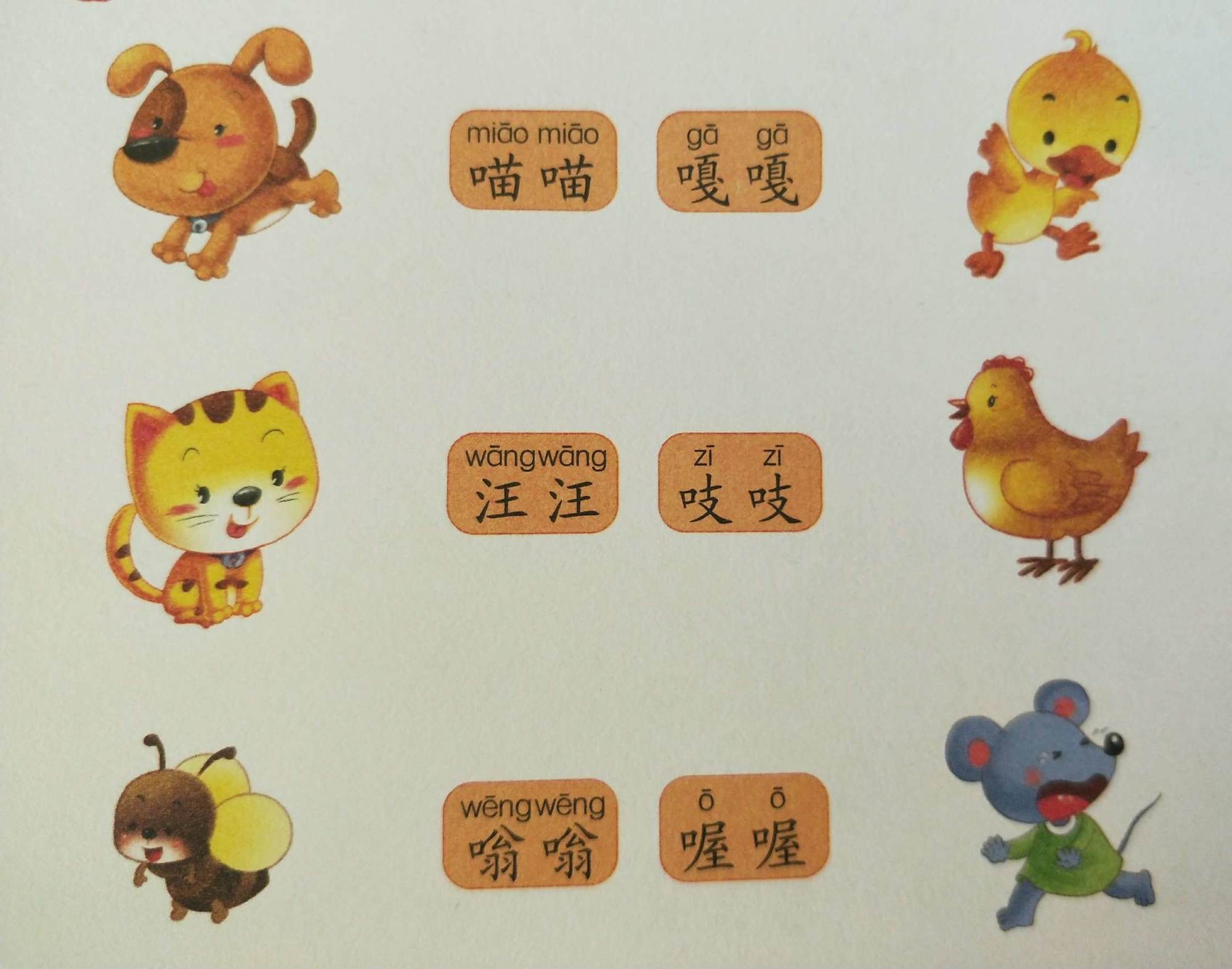 凶猛的野兽英文_野兽的英文_野兽英文怎么说