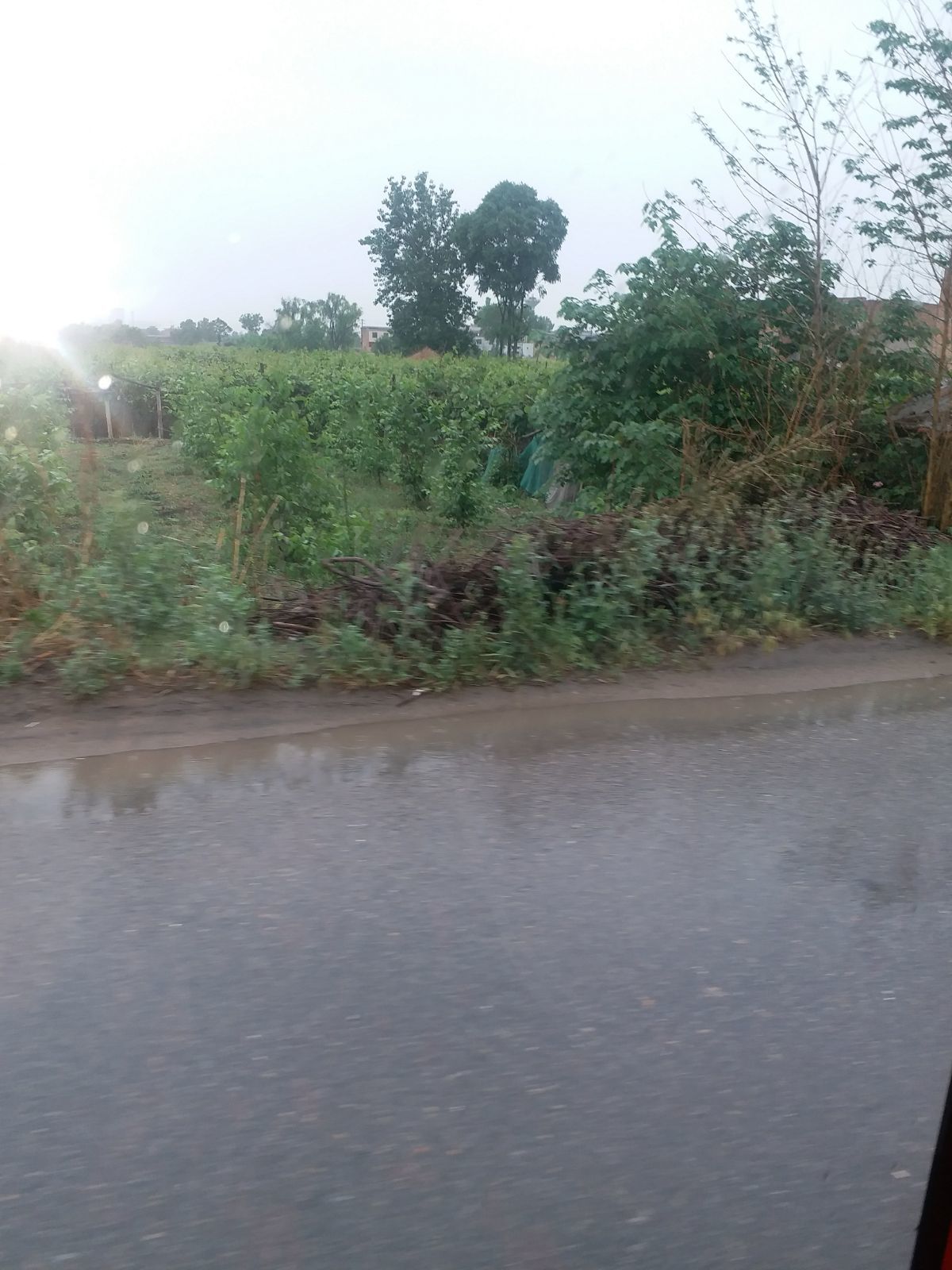 我叫mt 又是下雨天_下雨天是谁唱的_下雨天是哪个电视剧插曲