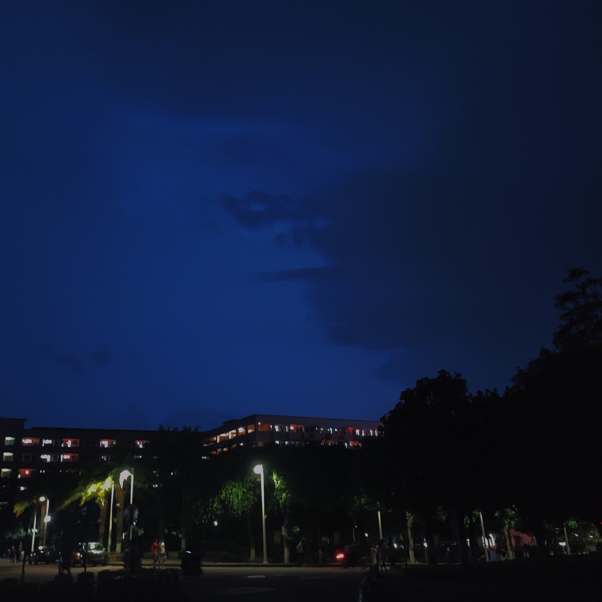 夜间app_十大看免费行情的软件下载_青青草地视频