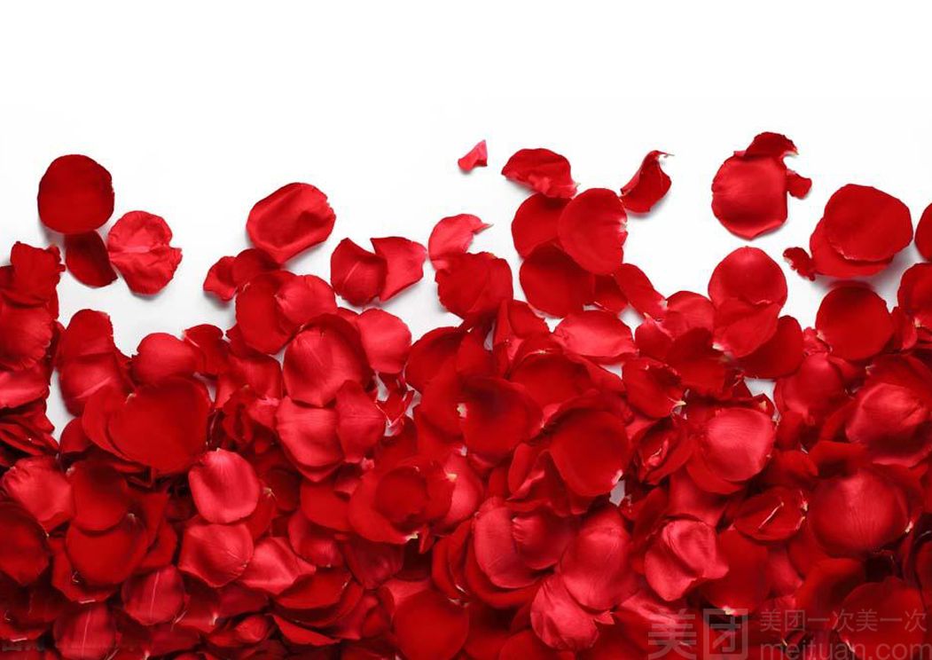 花花惹不起_惹花是什么意思_花花不好惹