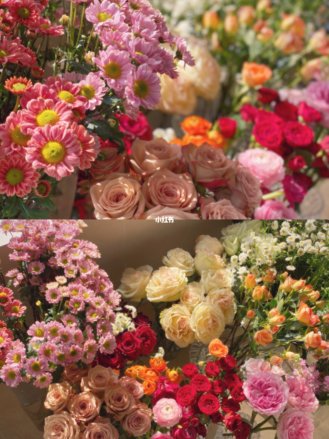 惹花是什么意思_花花惹不起_花花不好惹