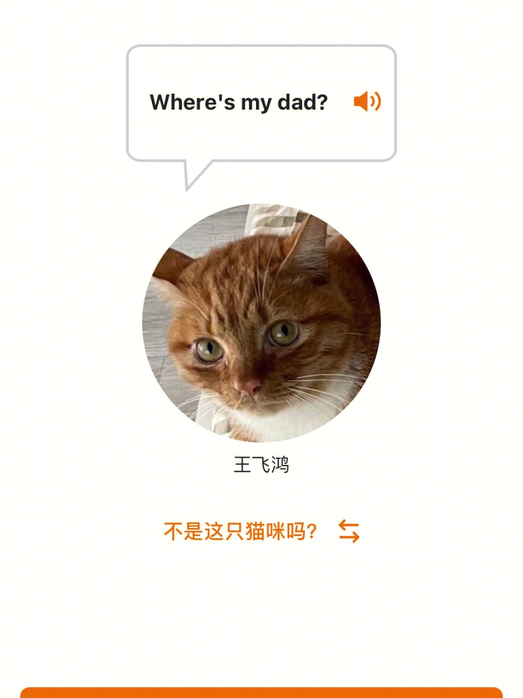 猫咪翻译神器_搜索猫咪翻译器_猫咪语言翻译器