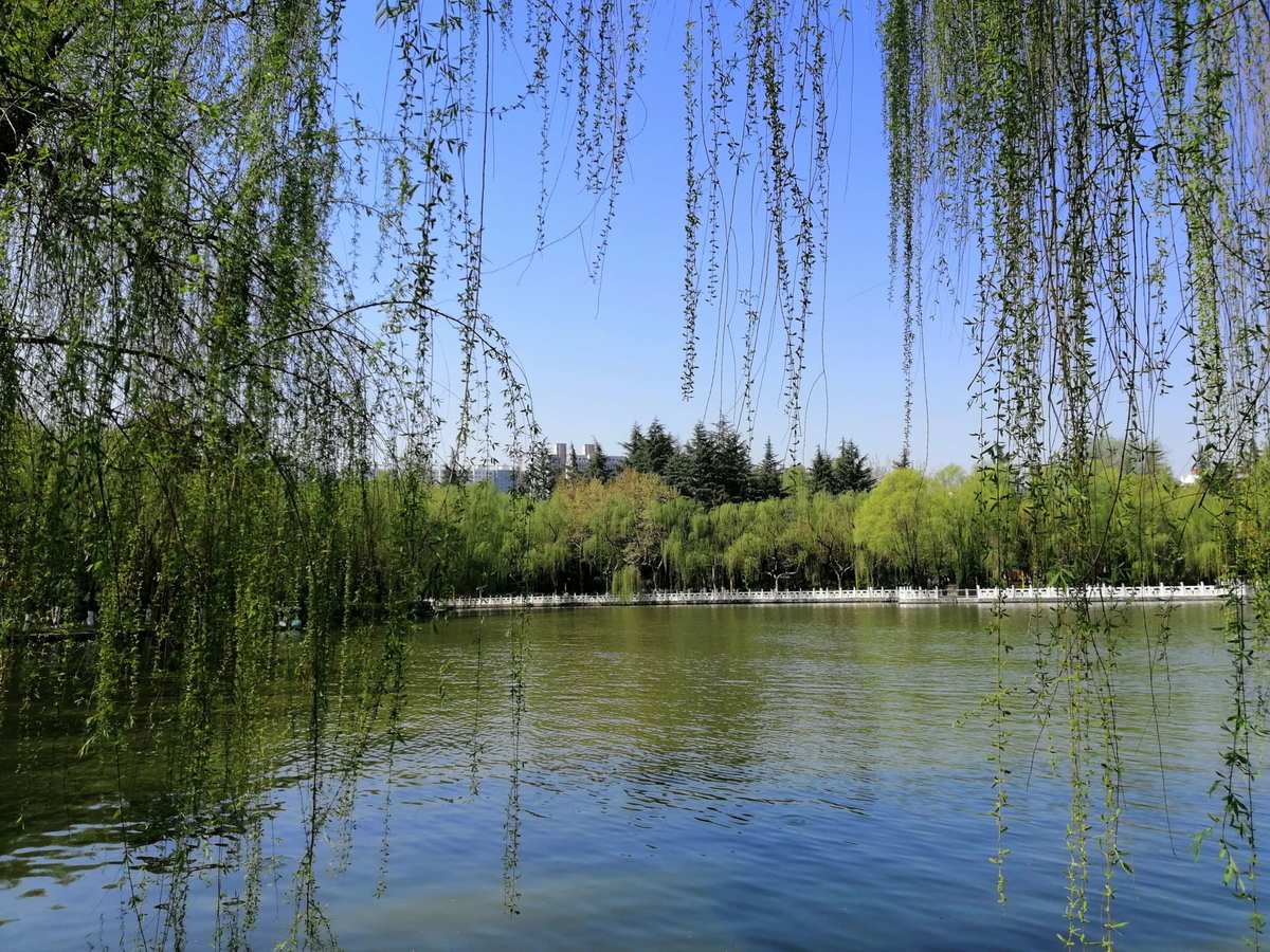 渌华池取景点在哪_渌华池_渌华池的秘境怎么解开