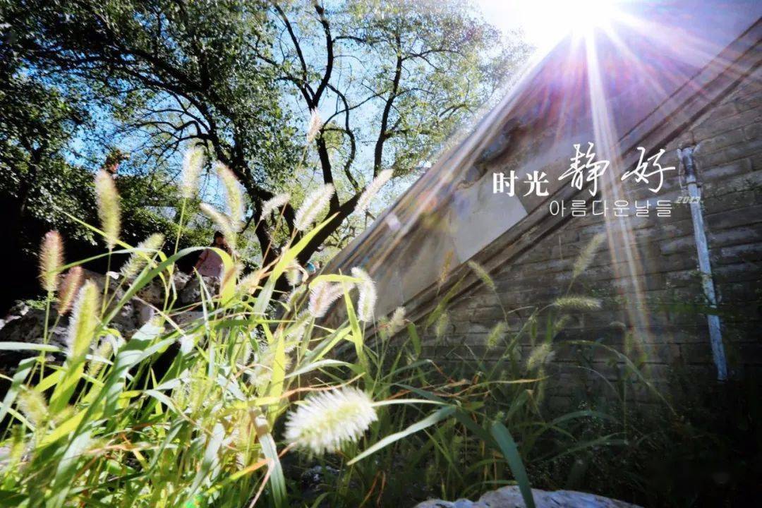 日本排污入海时间_核污水排海时间_时间之海