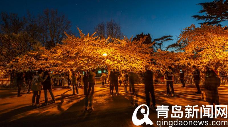 绿坝花季护航下载_花季传媒美好的夜晚ios下载_十六岁花季下载