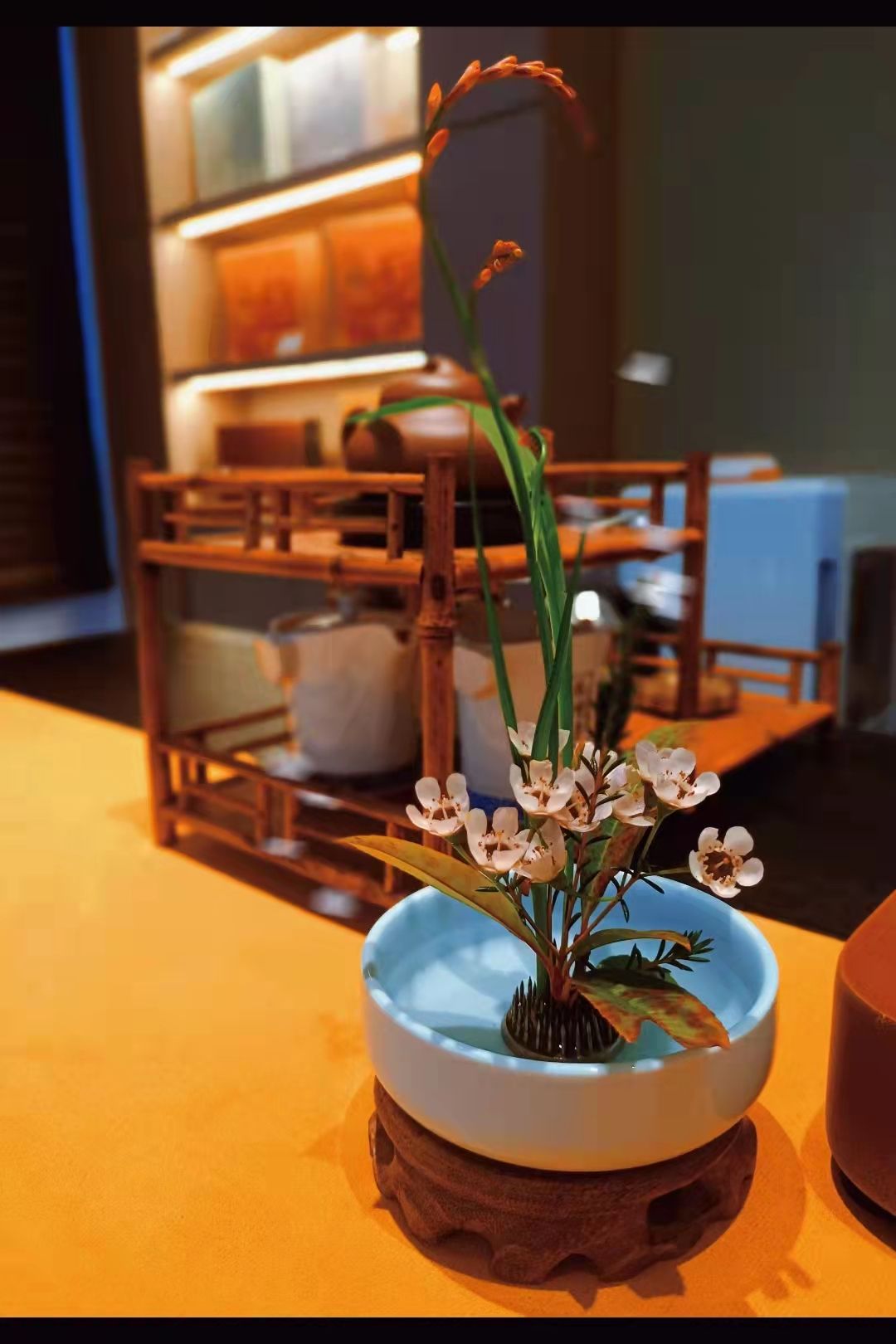 茶言茶语是什么意思_茶语是啥_茶言茶语是贬义词吗