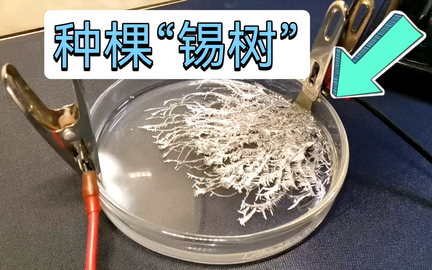 锡矿石多少钱一吨_锡矿石原石图片_锡矿石