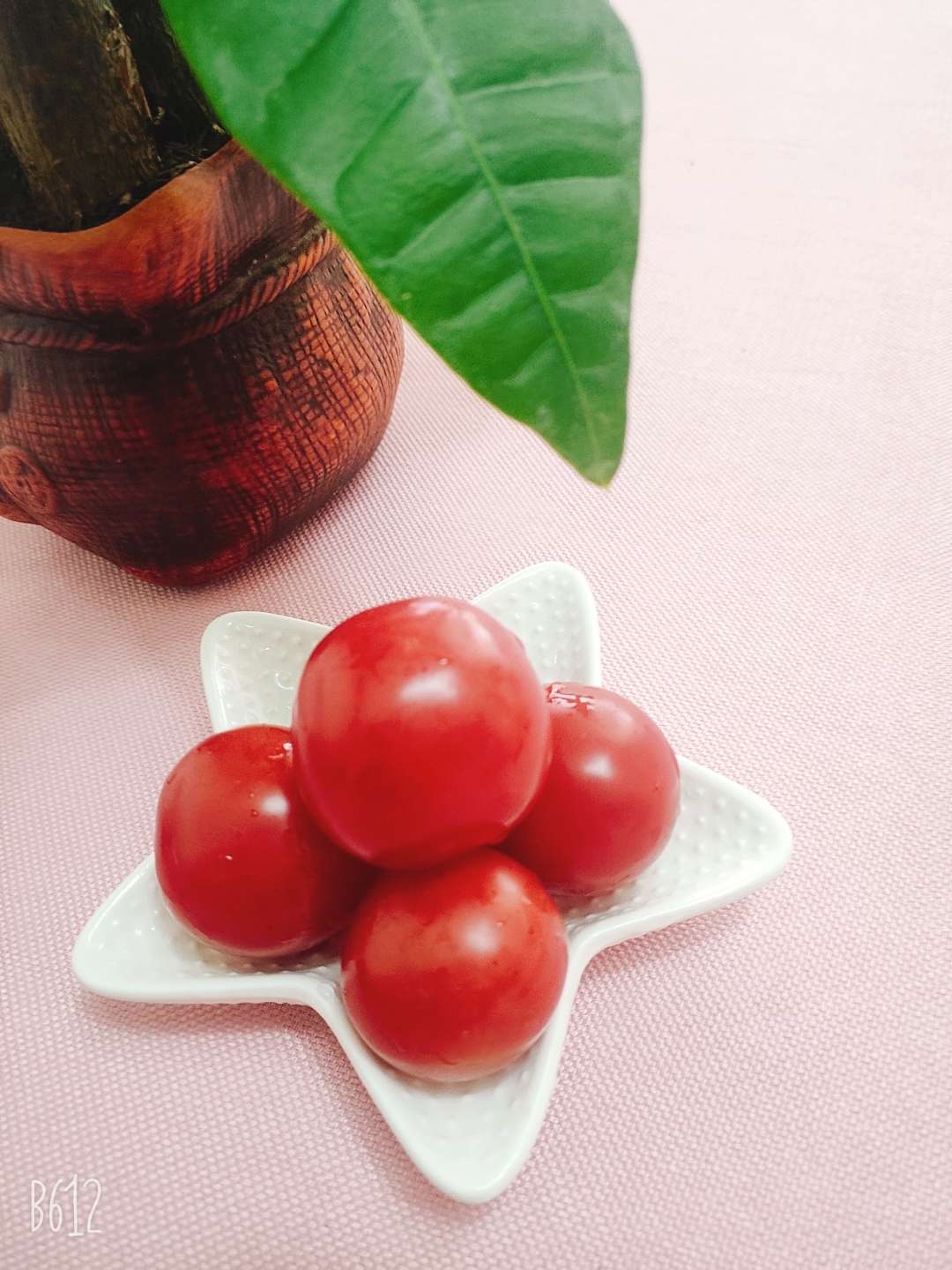 番茄乐园贴吧_番茄乐园d2_番茄乐园