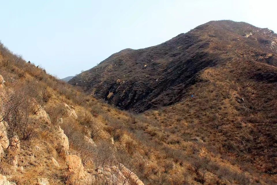 妄想山海北山神树在哪_妄想山海北北_妄想山海神树