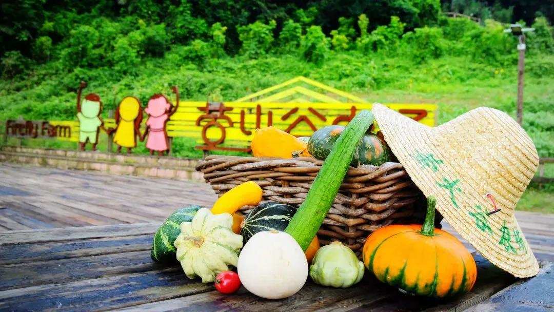 星露谷物语潘姆_星露谷物语潘妮_星露谷物语潘姆喜好