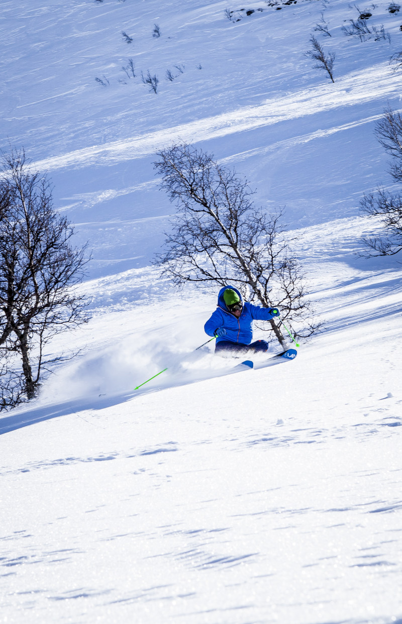 滑雪冒险下载大全手机版_滑雪大冒险下载_滑雪冒险下载大全最新版