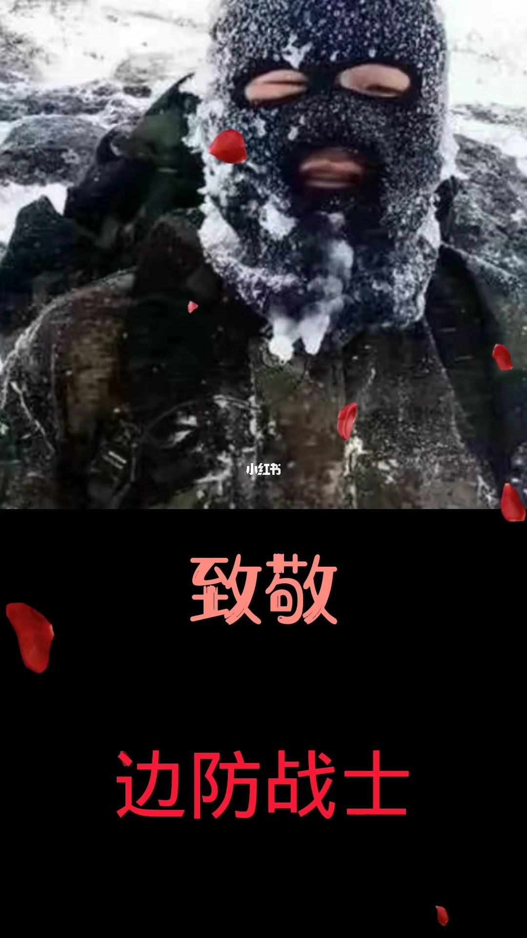 士兵勇敢的故事_士兵勇敢又什么_勇敢的士兵