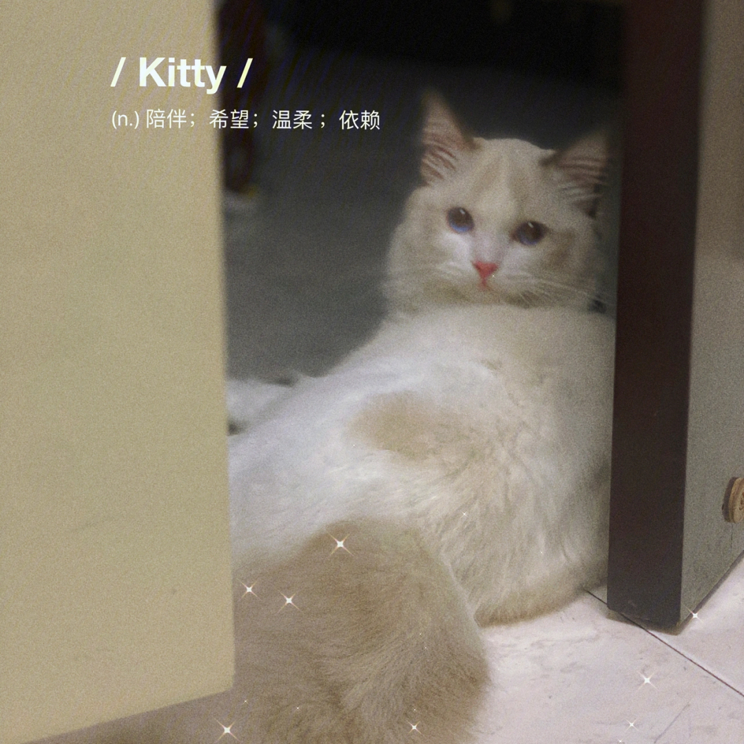 猫咪官网正品_猫咪官网站长之家_猫咪aap官网