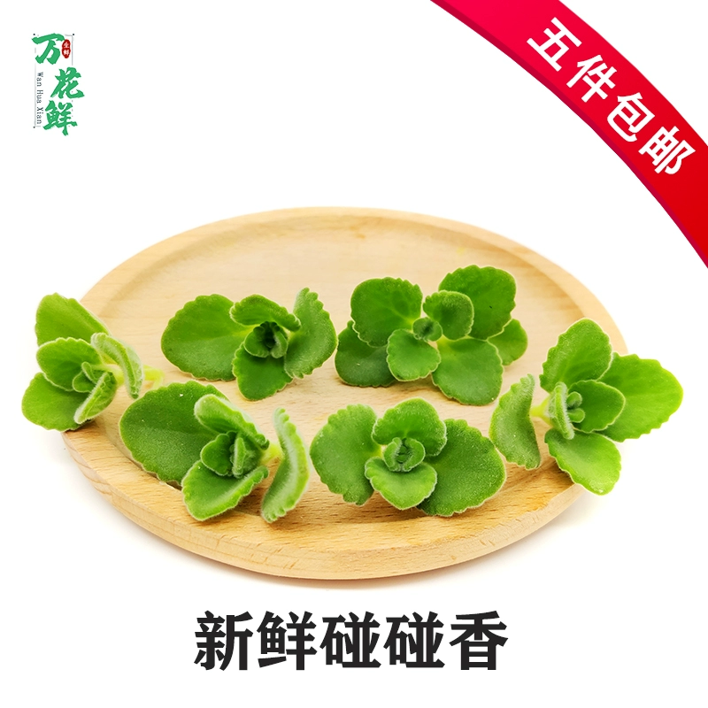 色香婷婷_色香婷婷_色香婷婷