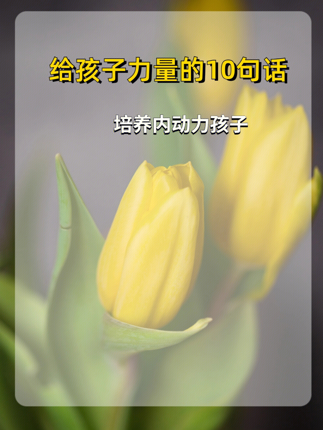 爱语_爱语_爱语