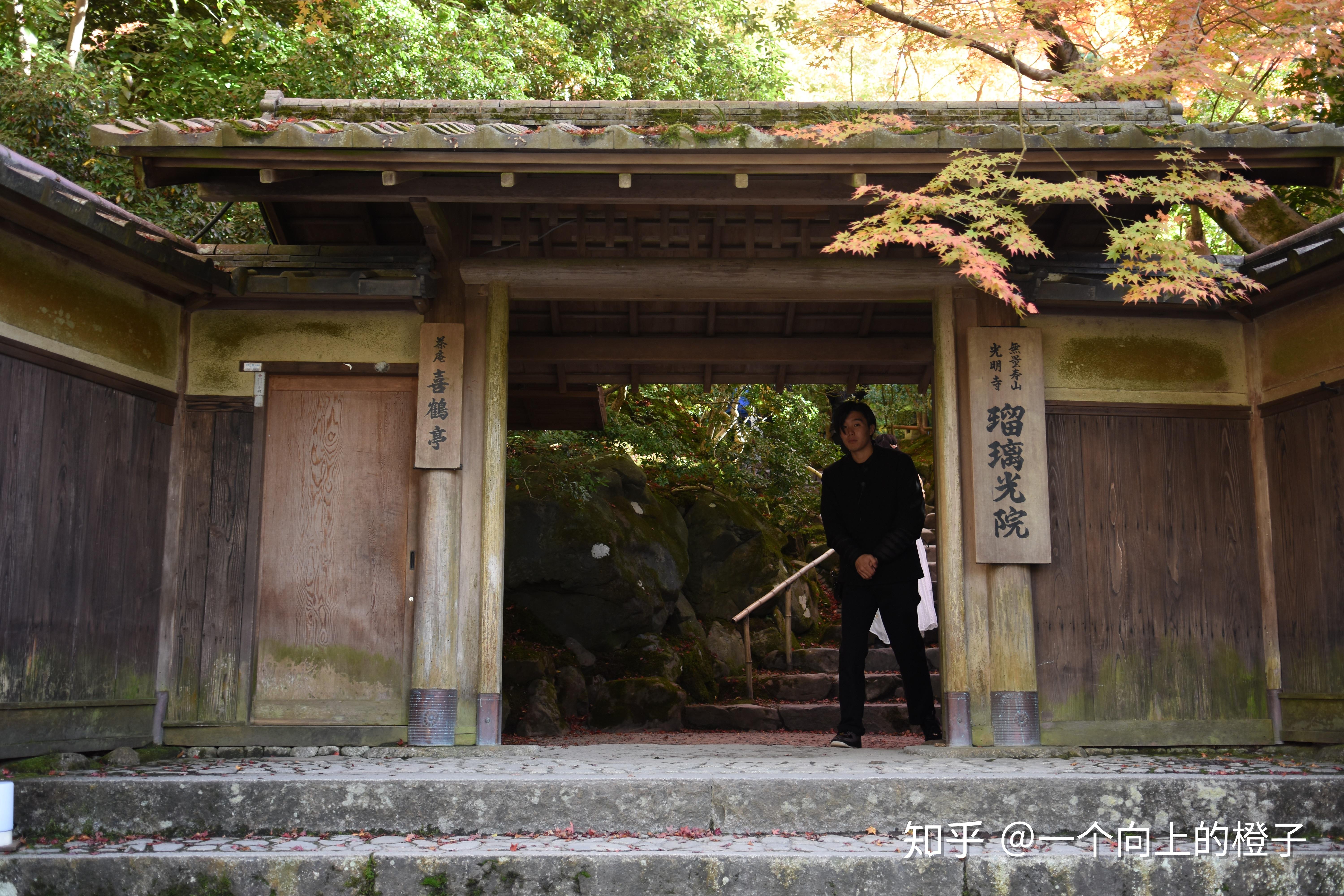 琉璃神社最新_琉璃神社网址改为了什么_魔穗琉璃神社怎么下载