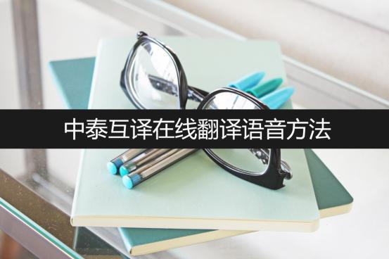 翻译中泰小说_中泰翻译_翻译中泰文件