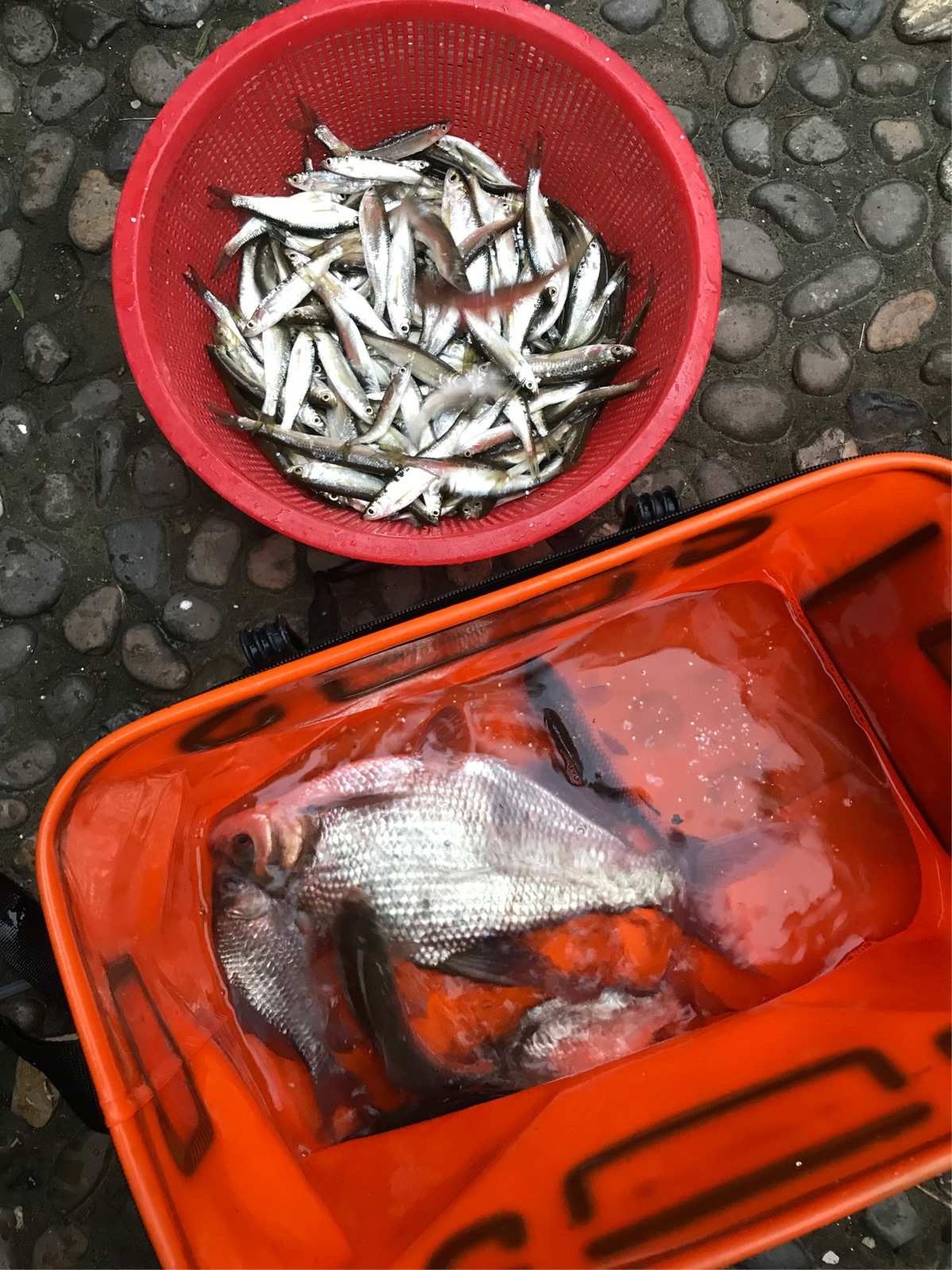 钓鱼游戏_钓鱼游戏真实版_钓鱼游戏破解版无限金币钻石版