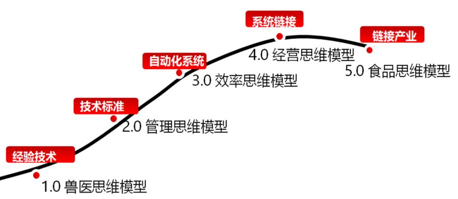仓持由香_仓持由香_仓持由香