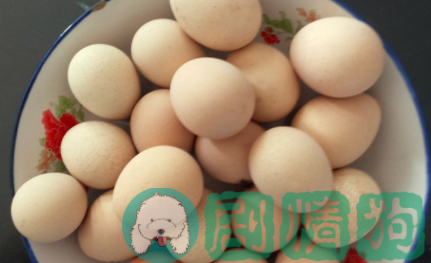 珍珠蛋白_珍珠蛋糕_珍珠蛋
