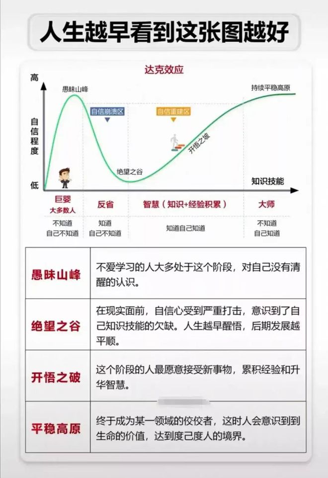 死亡效应翻译_死亡效应结构域_死亡效应