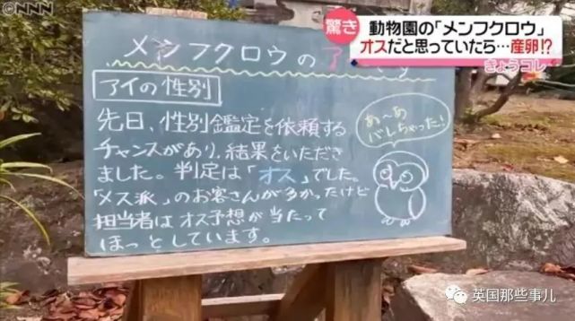 死去的突然攻击我什么梗_死梗是什么意思网络语言_lol防御塔突然攻击我